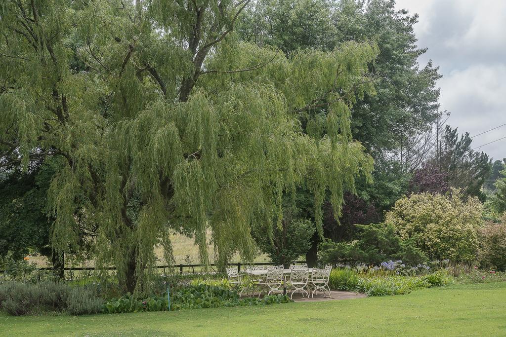 Glen Ormond Country House Henburg Park Zewnętrze zdjęcie