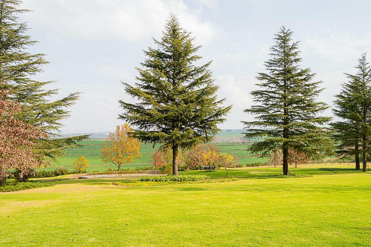 Glen Ormond Country House Henburg Park Zewnętrze zdjęcie